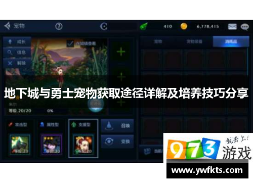 地下城与勇士宠物获取途径详解及培养技巧分享